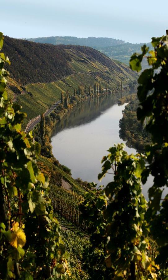 Hotel Weingut Berweiler Klusserath Zewnętrze zdjęcie